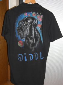 t-shirt Diddl.JPG